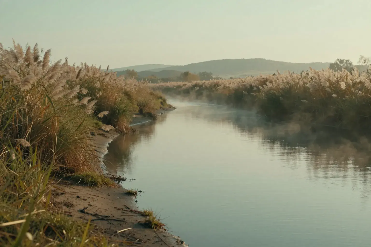 A calm bend in a river at golden morning light, reeds along the misty bank.