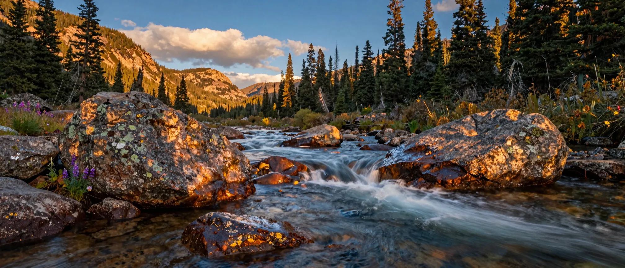A rocky mountain stream at golden hour, flowing toward the viewer through smooth boulders and forested hills.