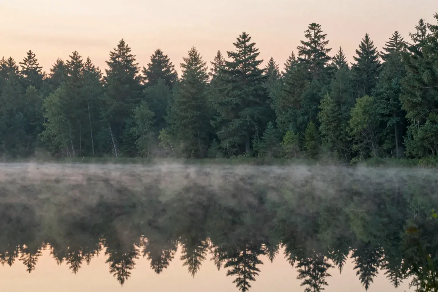 A still forest lake at dawn mirroring evergreen trees, soft mist on the water.