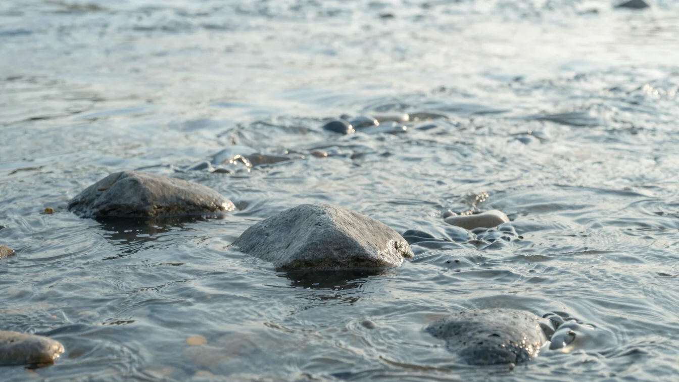 Close-up detail of smooth, grey river rocks partially submerged i